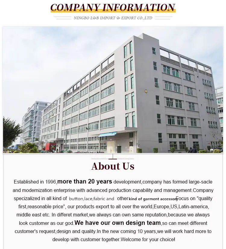 Customizable Fashionable And Exquisite Mesh Polyester Embroidered Lace For Women S Clothing