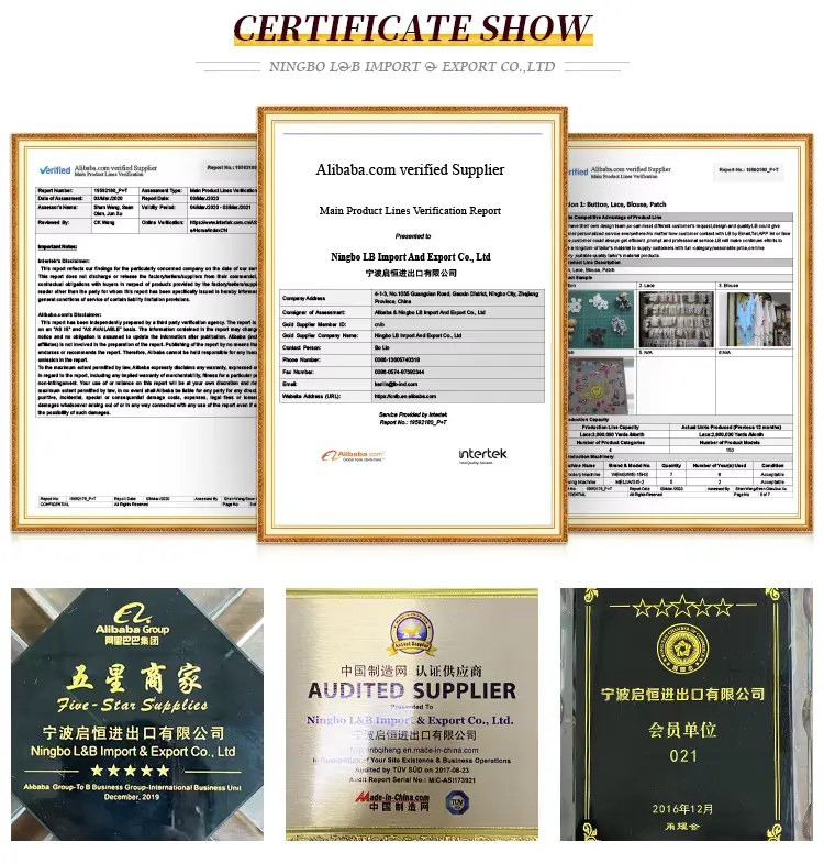 Customizable Fashionable And Exquisite Mesh Polyester Embroidered Lace For Women S Clothing